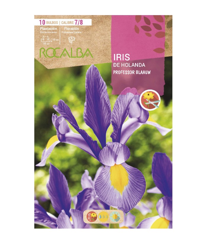 BULBO IRIS PROFESOR BLAAUW CAL 7/8 4UNIDADES