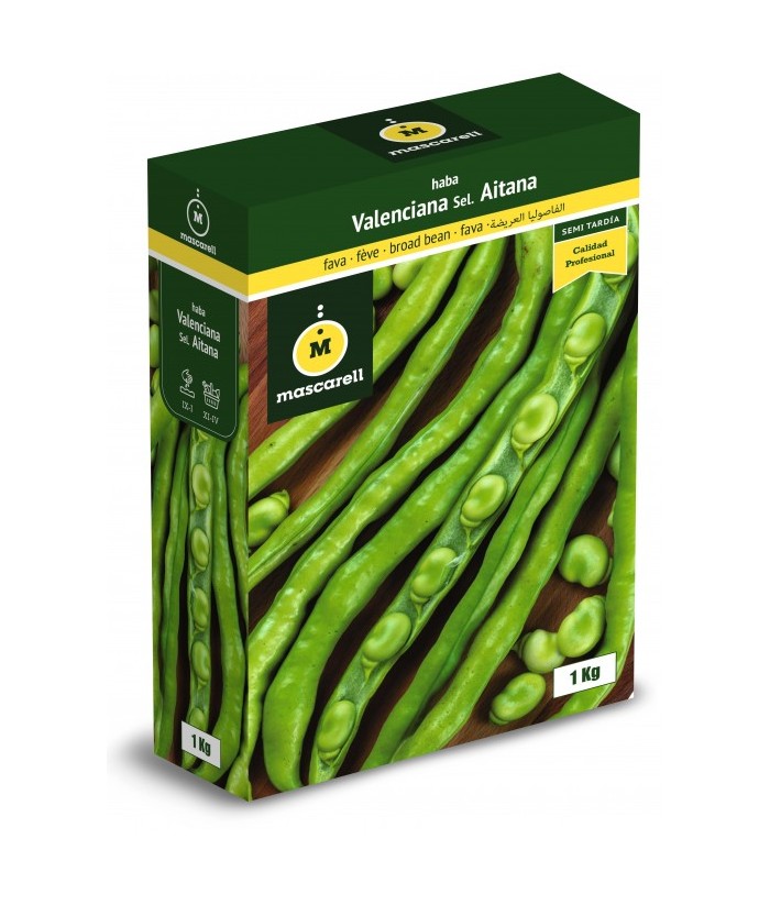 HABA VALENCIANA 1KG AITANA MASCARELL