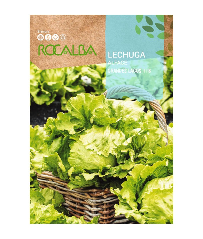 LECHUGA GRANDES LAGOS 118 ROCALBA 6GR