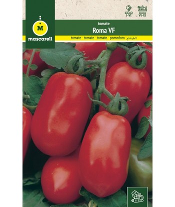 TOMATE PERA ROMA VF 1GR MASCARELL