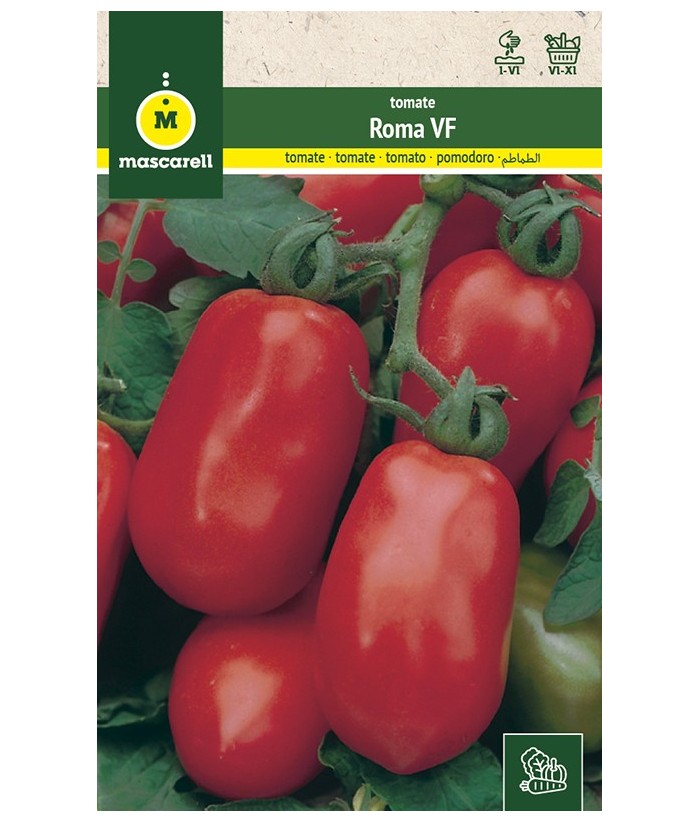 TOMATE PERA ROMA VF 1GR MASCARELL