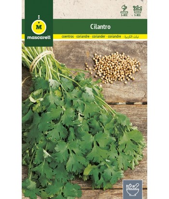 CILANTRO 10GR MASCARELL