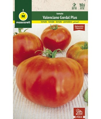 TOMATE VALENCIANO GORDAL 0 3GR