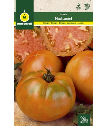 TOMATE MUCHAMIEL TARDIO 1GR MASCARELL 