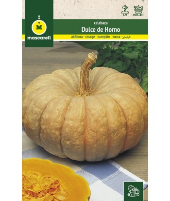 CALABAZA DULCE HORNO TOTANERA 4GR MASCARELL