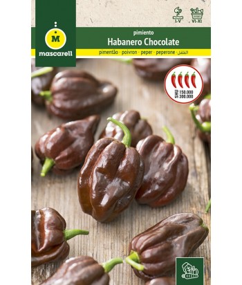 PIMIENTO HABANERO CHOCOLATE 0 1GR MASCARELL