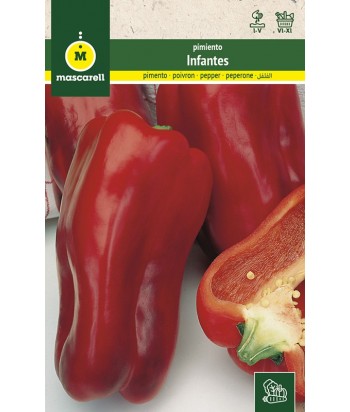 PIMIENTO INFANTES 1 5GR MASCARELL