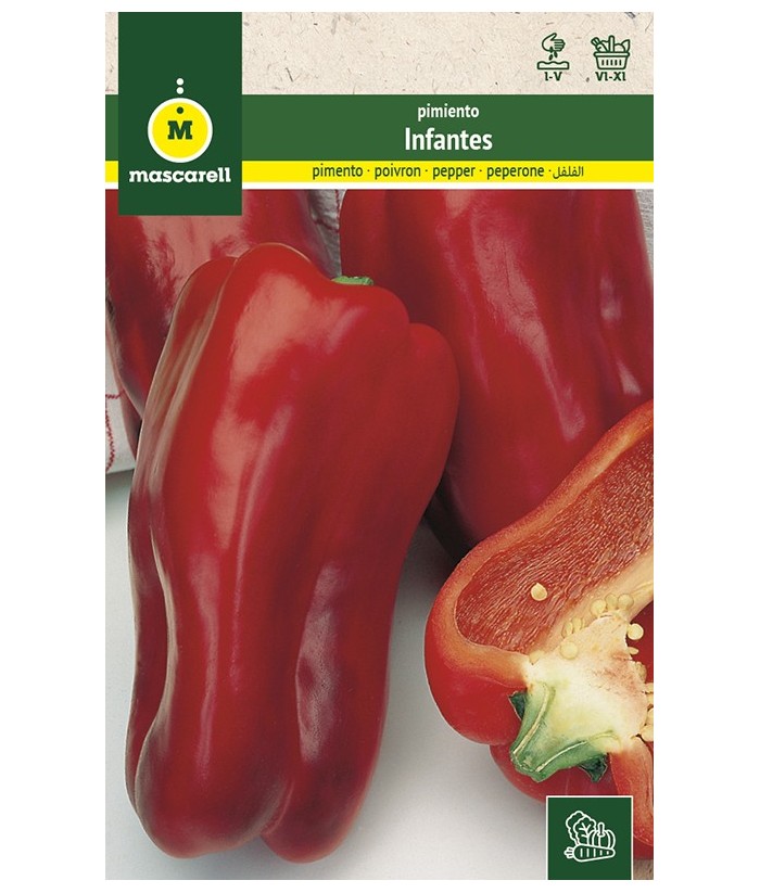 PIMIENTO INFANTES 1 5GR MASCARELL