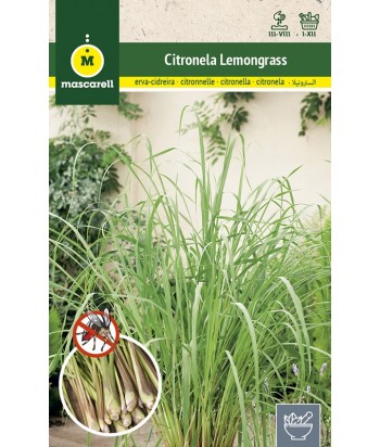 CITRONELA LEMONGRASS 0 1GR MASCARELL