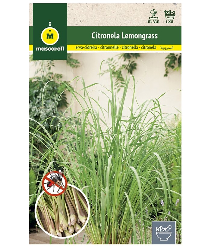 CITRONELA LEMONGRASS 0 1GR MASCARELL