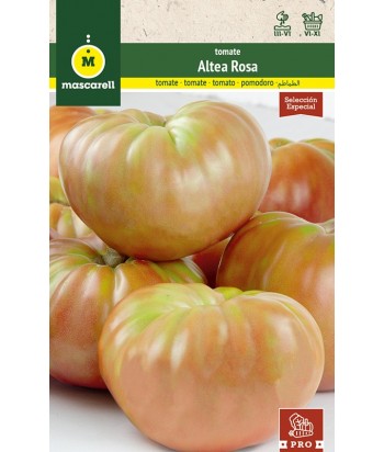 TOMATE ALTEA ROSA 0 1GR MASCARELL