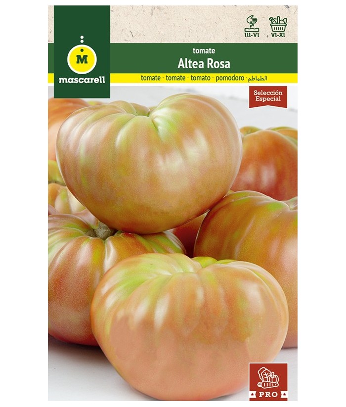 TOMATE ALTEA ROSA 0 1GR MASCARELL