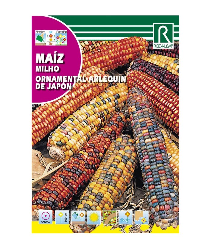 MAIZ ORNAMENTAL ARLEQUIN DEL JAPON 10GR ROCALBA