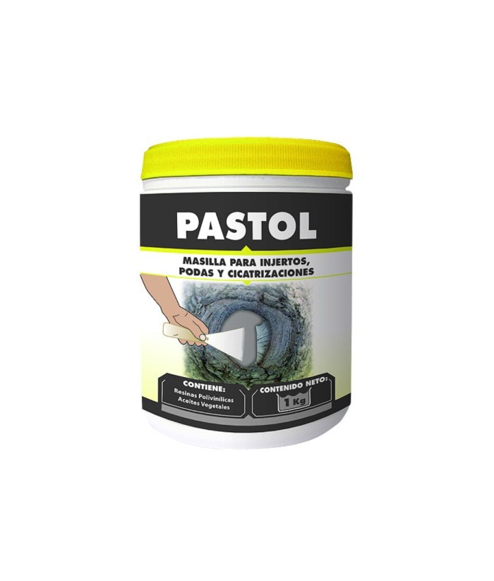 PASTOL MASILLA INJERTOS PROFESIONAL 1KG MASSO