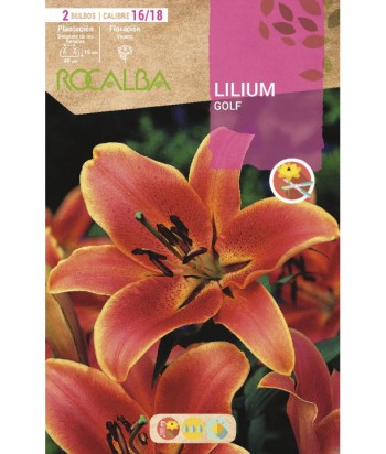 BULBO LILIUM GOLF NARANJA BOLSA 2UDS ROCALBA