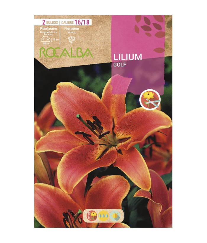 BULBO LILIUM GOLF NARANJA BOLSA 2UDS ROCALBA