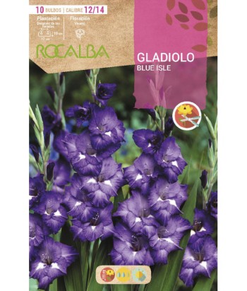 BULBO GLADIOLO 12/14 10UDS BLUE ISLE ROCALBA 