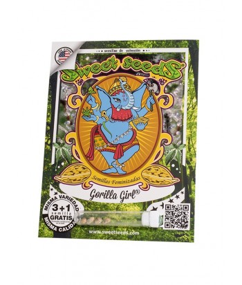 SEMILLA GORILLA GIRL SWEET SEEDS  3 1UDS 