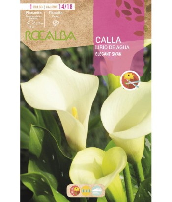 BULBO CALLA ELEGANT SWAN CAL 14/18 ROCALBA  UD 