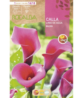 BULBO CALLA BOLERO CAL 14/18 ROCALBA  UD 