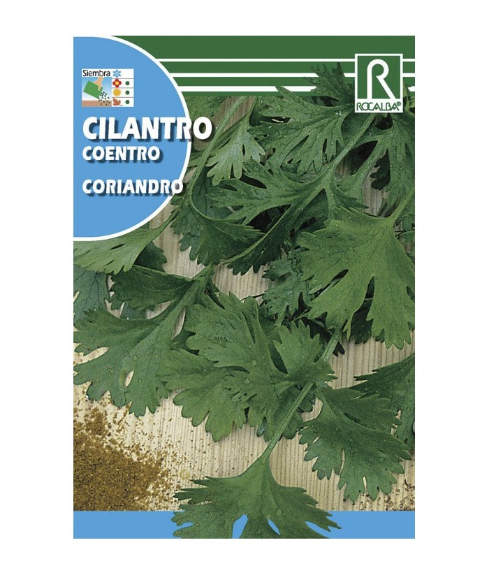 CILANTRO 10GR ROCALBA 