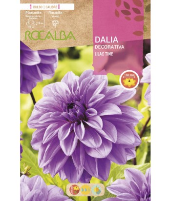 BULBO DALIA LILAC TIME GRANEL  UD  ROCALBA