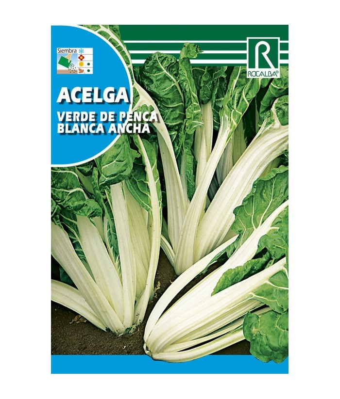 ACELGA VERDE PENCA BLANCA ANCHA 10GR ROCALBA