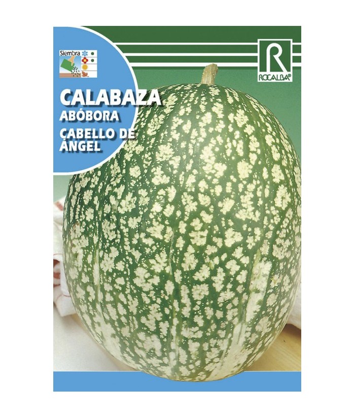 CALABAZA CABELLO ANGEL ROCALBA 6GR