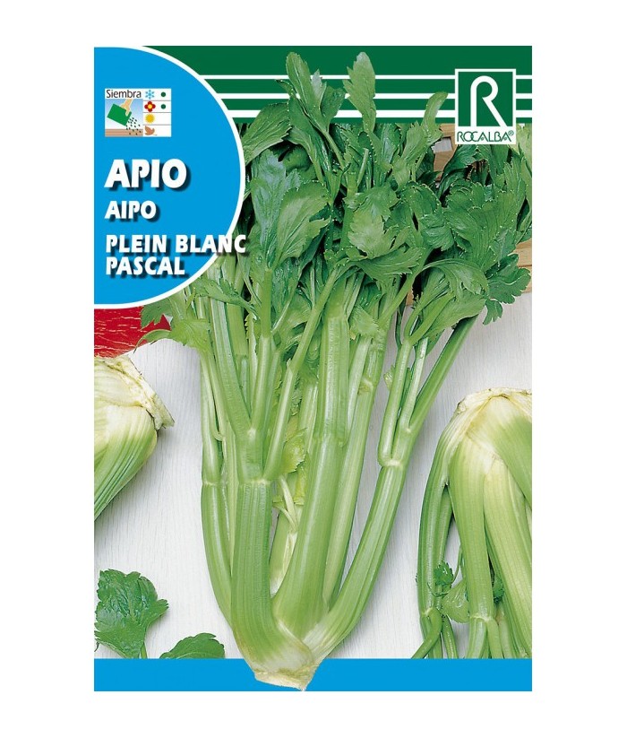 APIO VERDE PASCAL ROCALBA 3G