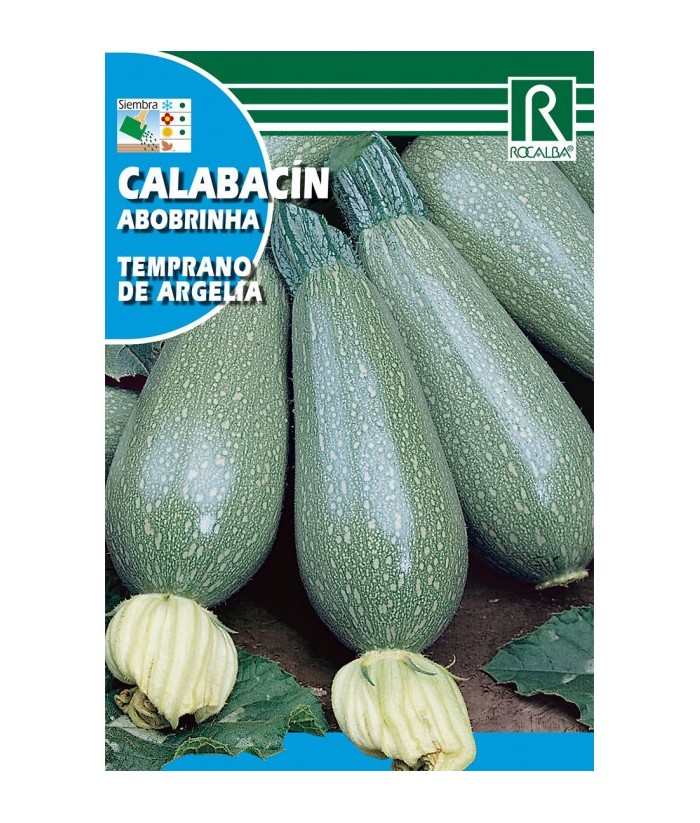 CALABACIN TEMPRANO ARGELIA ROCALBA 8G