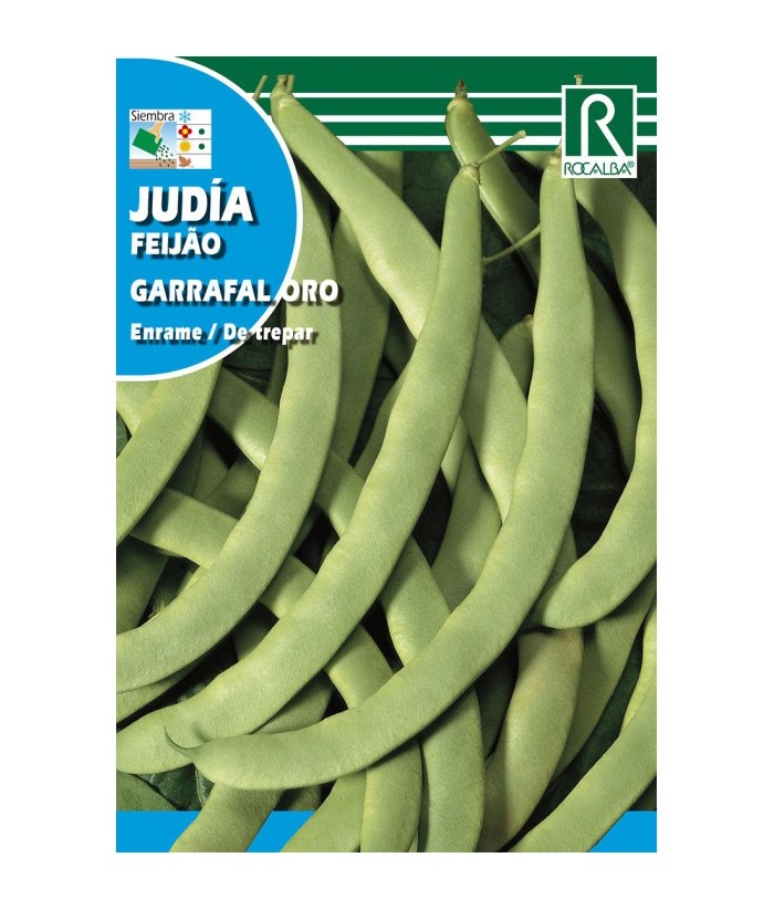 JUDIA GARRAFAL ORO 100GR ENRAME