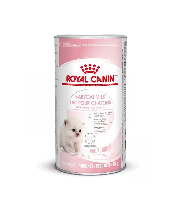 ROYAL CANIN BABYCAT MILK 300GR LECHE POLVO