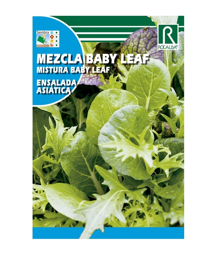 MEZCLA BABY LEAF ASIATICA 6GR ROCALBA