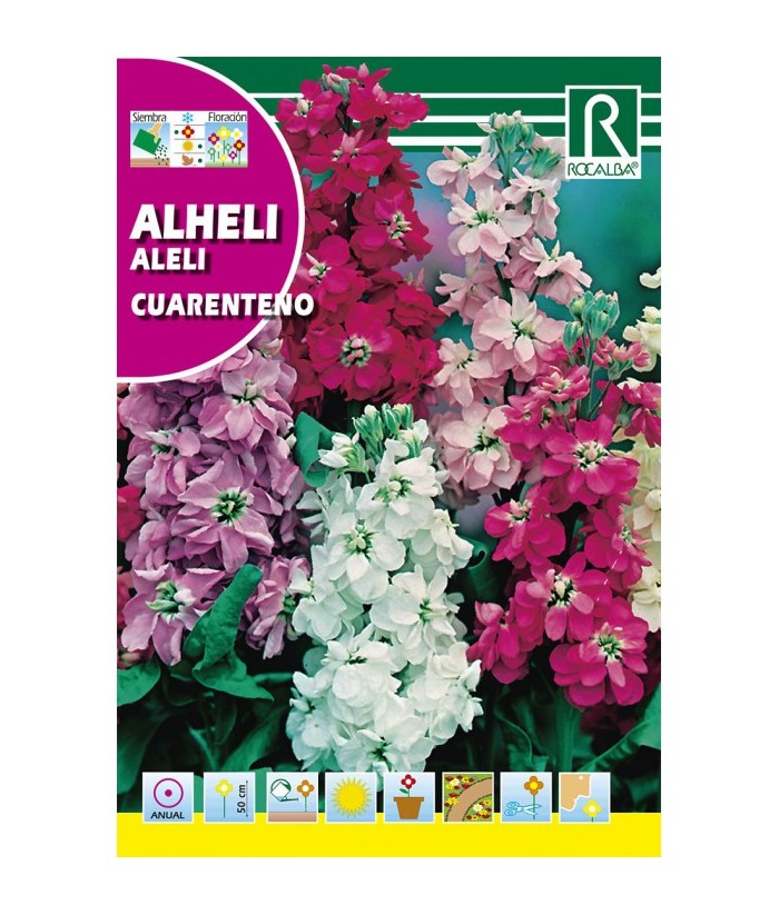 ALHELI CUARENTENO 2GR ROCALBA