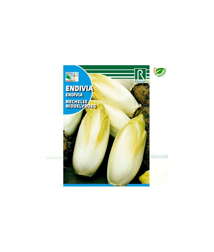 ENDIBIA BRUSELAS WITLOOF 10G ROCALBA