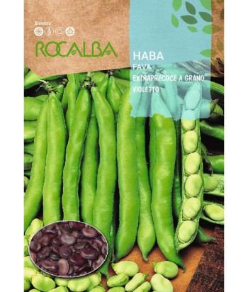 HABA EXTRAPRECOCE GRANO VIOLETA 250GR ROCALBA