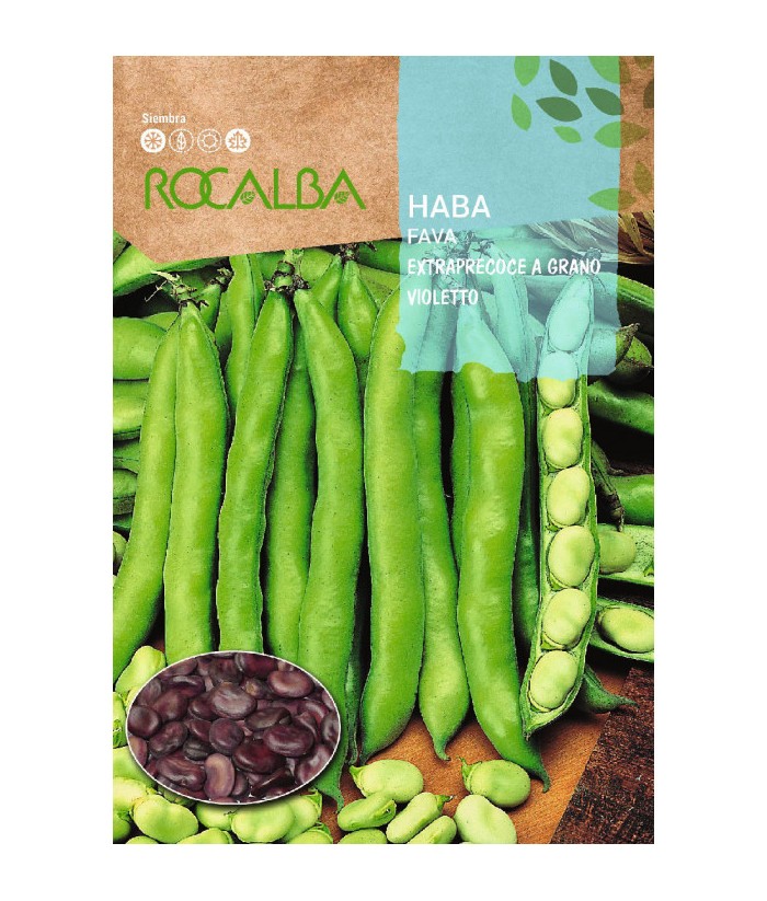 HABA EXTRAPRECOCE GRANO VIOLETA 250GR ROCALBA