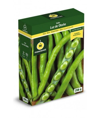 HABA LUZ DE OTOÑO 1KG MASCARELL