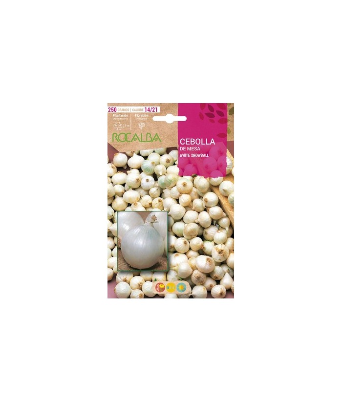 CEBOLLA MESA WHITE SNOWBALL 250GR BULBO ROCALBA