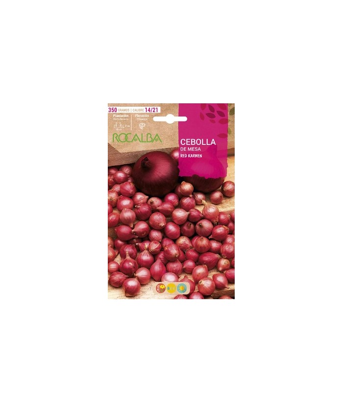 CEBOLLA MESA RED KARMEN 350GR BULBO ROCALBA