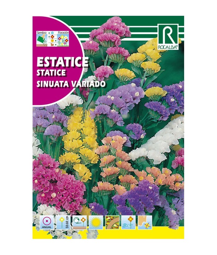 ESTATICE SINUATA SURTIDA 1GR ROCALBA