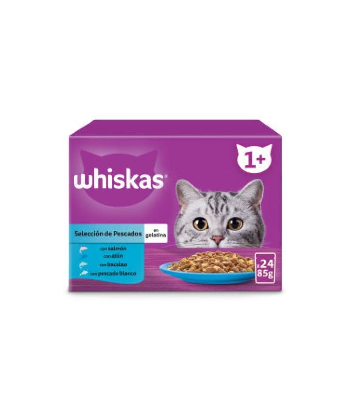 WHISKAS SOBRES 24x100GR  1AÑO PESCADO