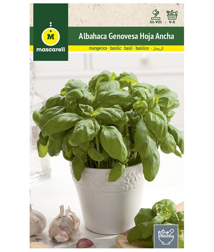 ALBAHACA GENOVESA HOJA ANCHA 5GR MASCARELL