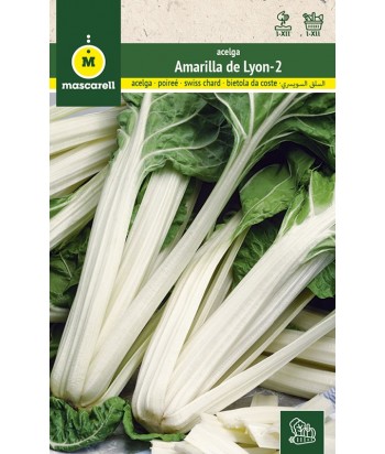 ACELGA AMARILLA DE LYON 2 10GR MASCARELL