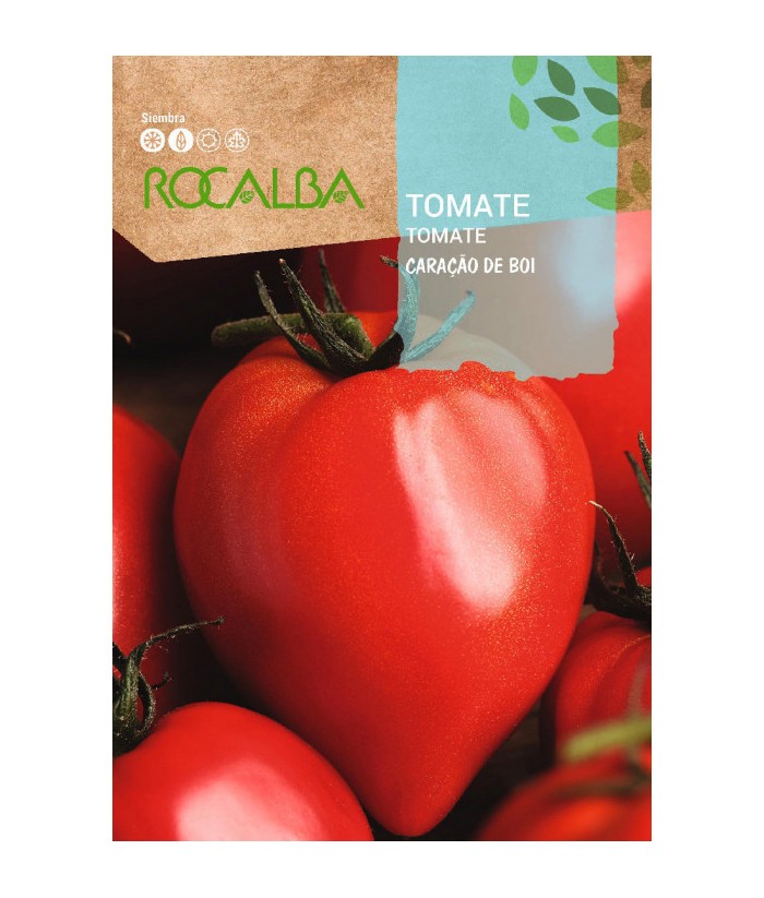 TOMATE CORACAO DE BOI ROCALBA 1G