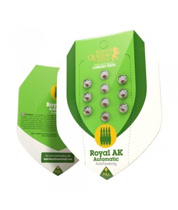 ROYAL QUEEN AUTO ROYAL AK 5UDS