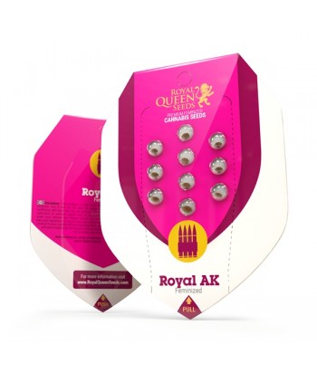 ROYAL AK ROYAL QUEEN FEMINIZED  3UDS 