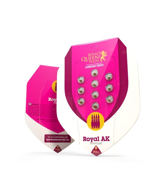 ROYAL AK ROYAL QUEEN FEMINIZED 3UDS ROYAL AK ROYAL QUEEN FEMINIZED 3UDS