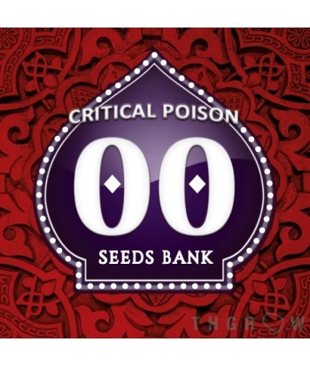 00 SEEDS CRITICAL POISON FEMINIZADA 3UDS