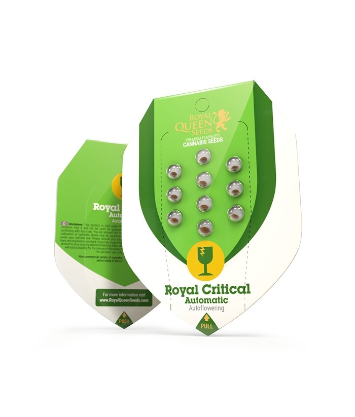 ROYAL QUEEN AUTO ROYAL CRITICAL 3UDS ROYAL QUEEN AUTO ROYAL CRITICAL 3UDS